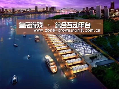 案例展示八