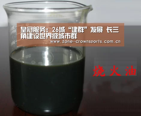 皇冠服务:26城“建群”发展 长三角建设世界级城市群(图3) 皇冠娱乐