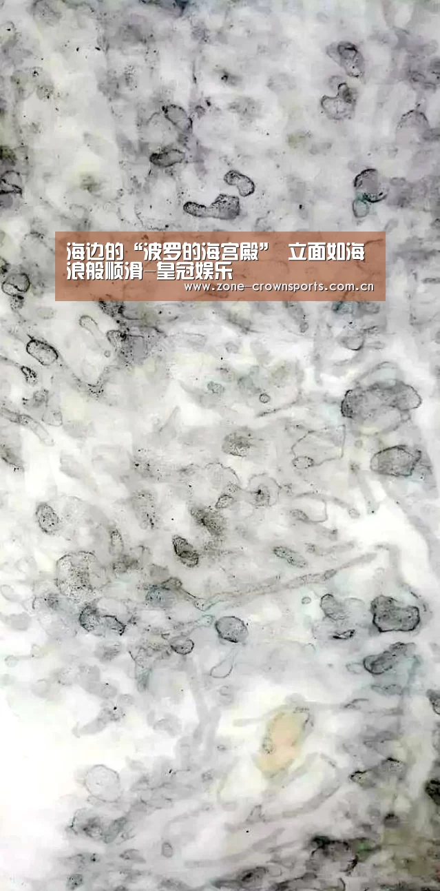 海边的“波罗的海宫殿” 立面如海浪般顺滑-皇冠娱乐(图1) 皇冠体育
