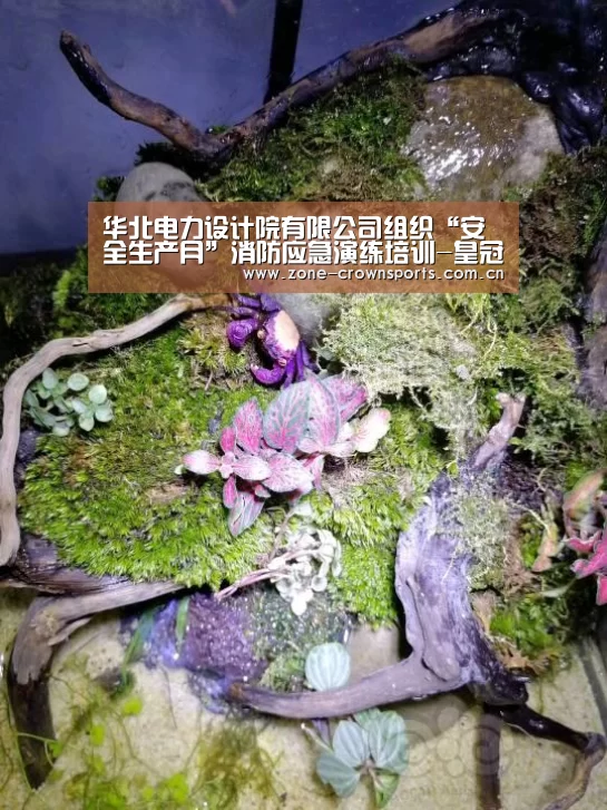 华北电力设计院有限公司组织“安全生产月”消防应急演练培训-皇冠官网(图1) 皇冠官网