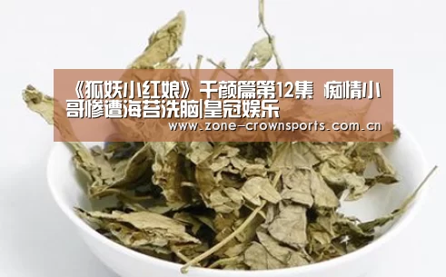 《狐妖小红娘》千颜篇第12集 痴情小哥惨遭海苔洗脑|皇冠娱乐(图3) 皇冠娱乐