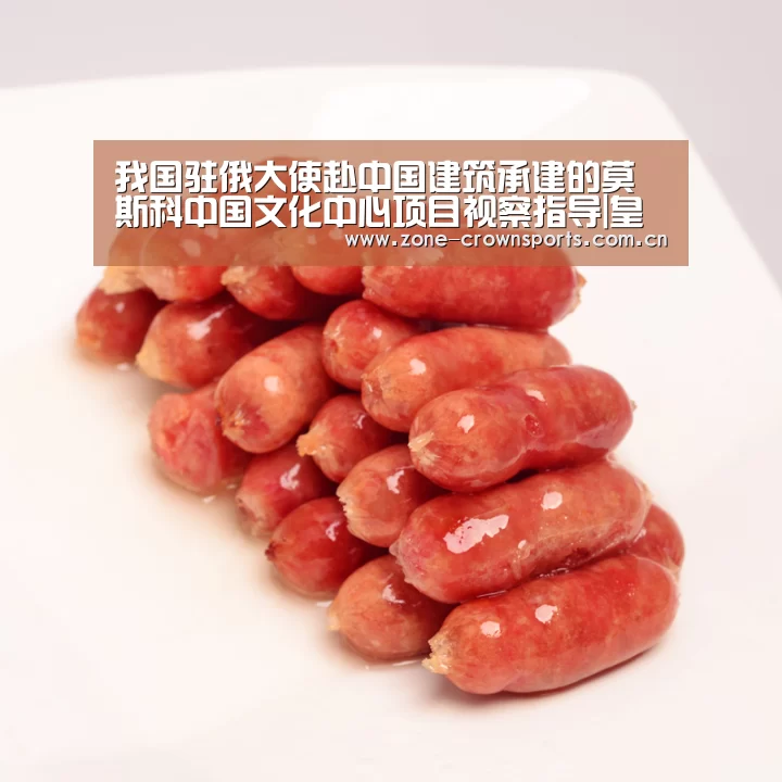 我国驻俄大使赴中国建筑承建的莫斯科中国文化中心项目视察指导|皇冠娱乐(图3) 皇冠服务