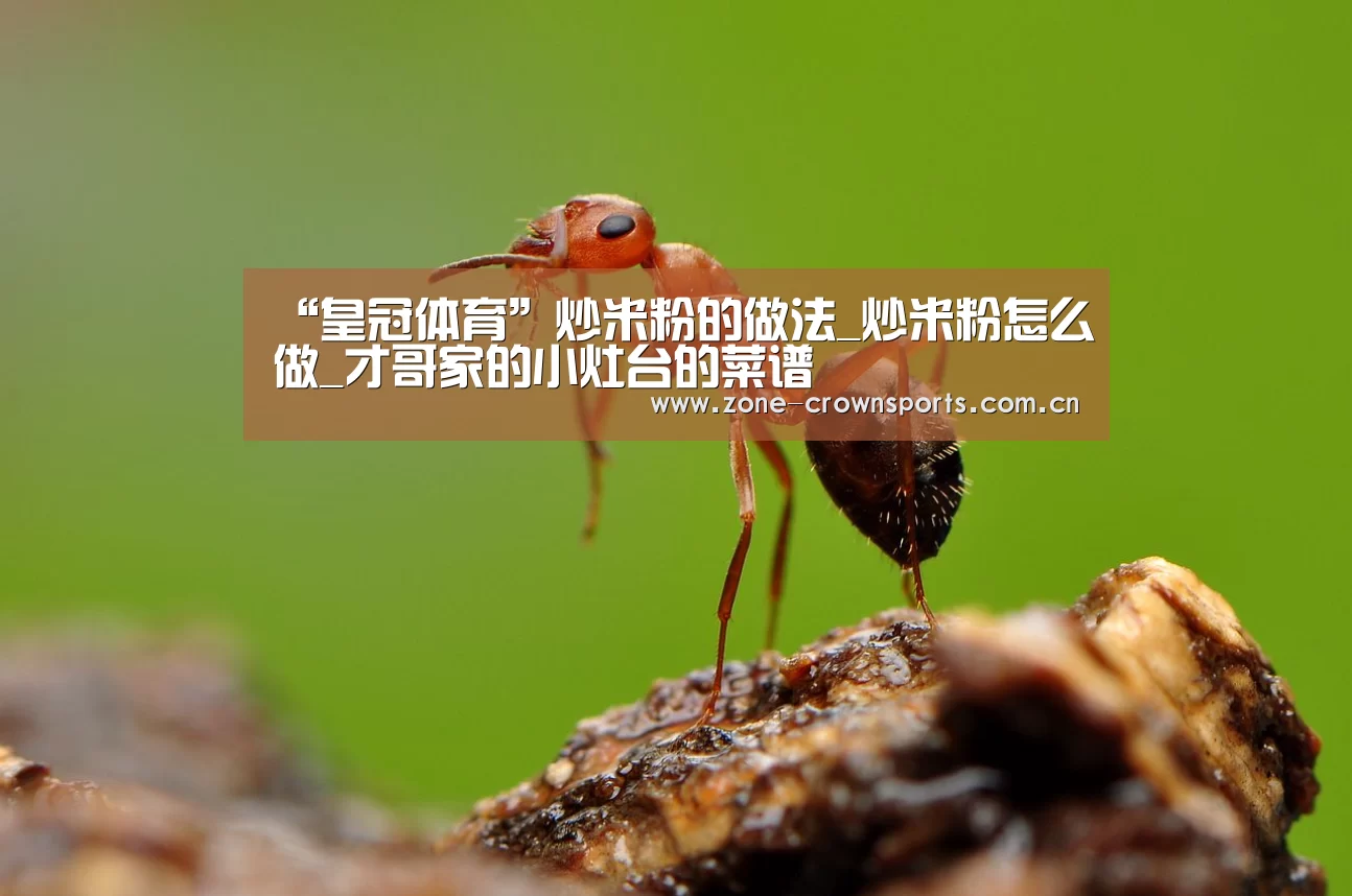 “皇冠体育”炒米粉的做法_炒米粉怎么做_才哥家的小灶台的菜谱(图1) 皇冠官网